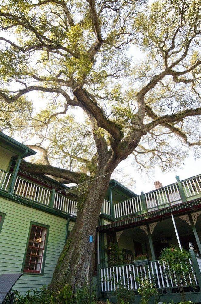 Florida House Inn Fernandina Beach Dış mekan fotoğraf